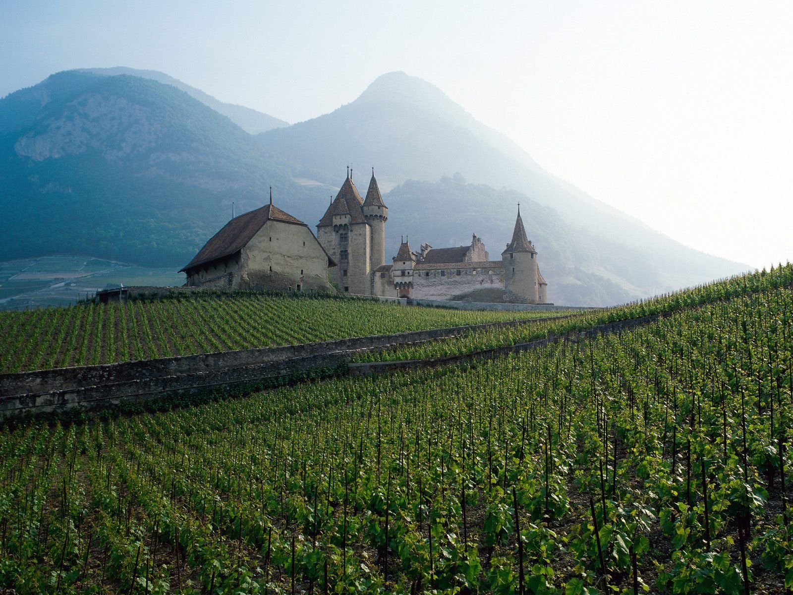 champ château montagnes loin