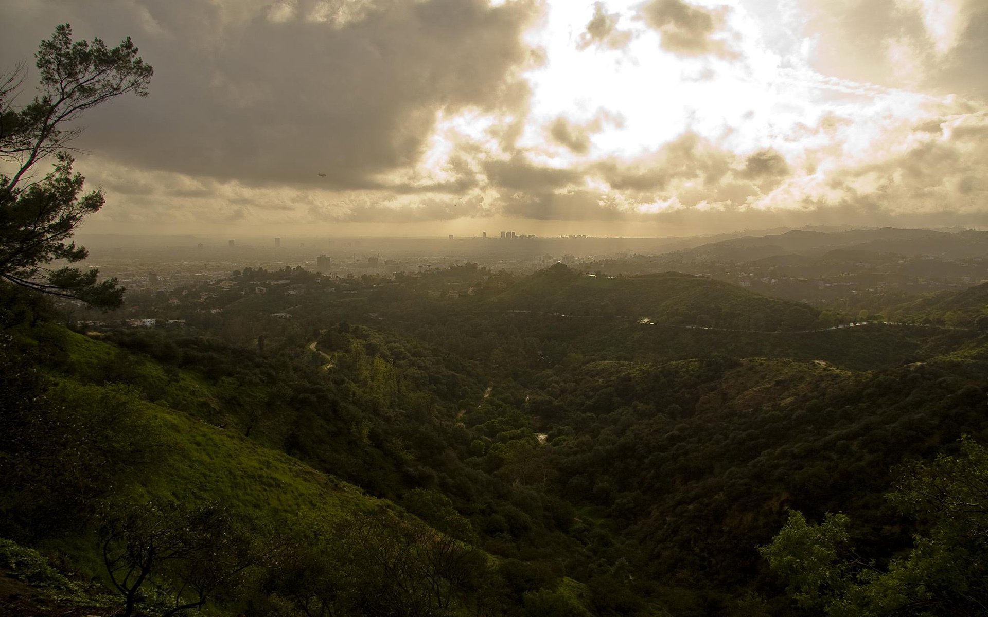 los angeles griffith park zieleń chmury