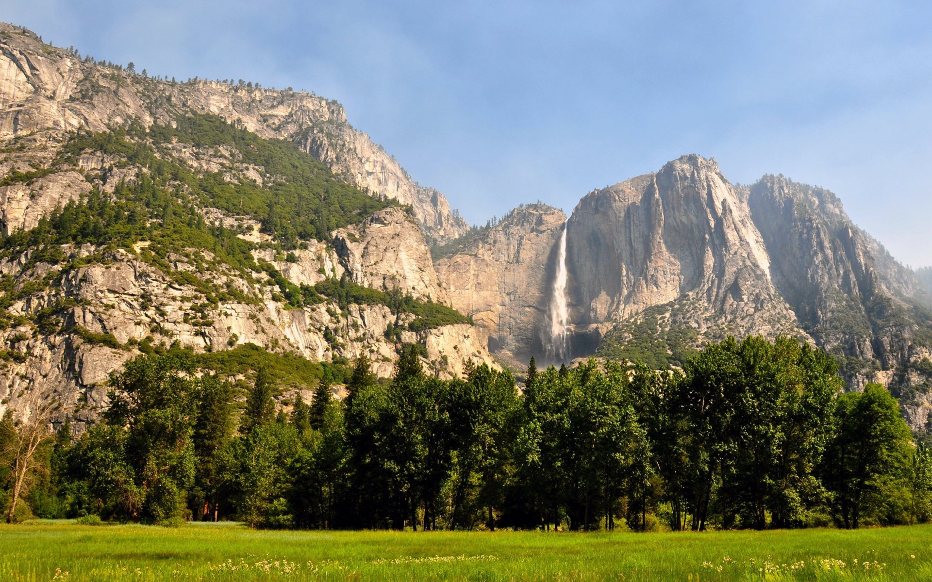 forest mountain yosemite united states california