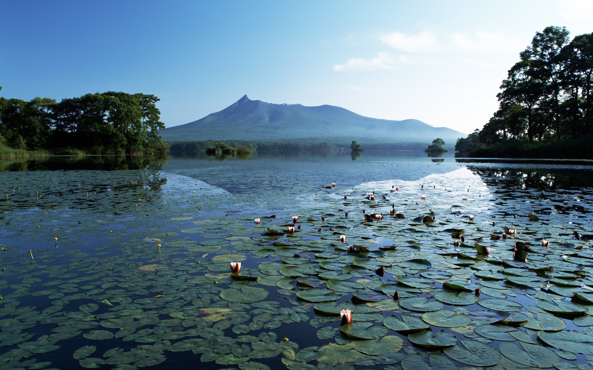 lake mountain lilies silence