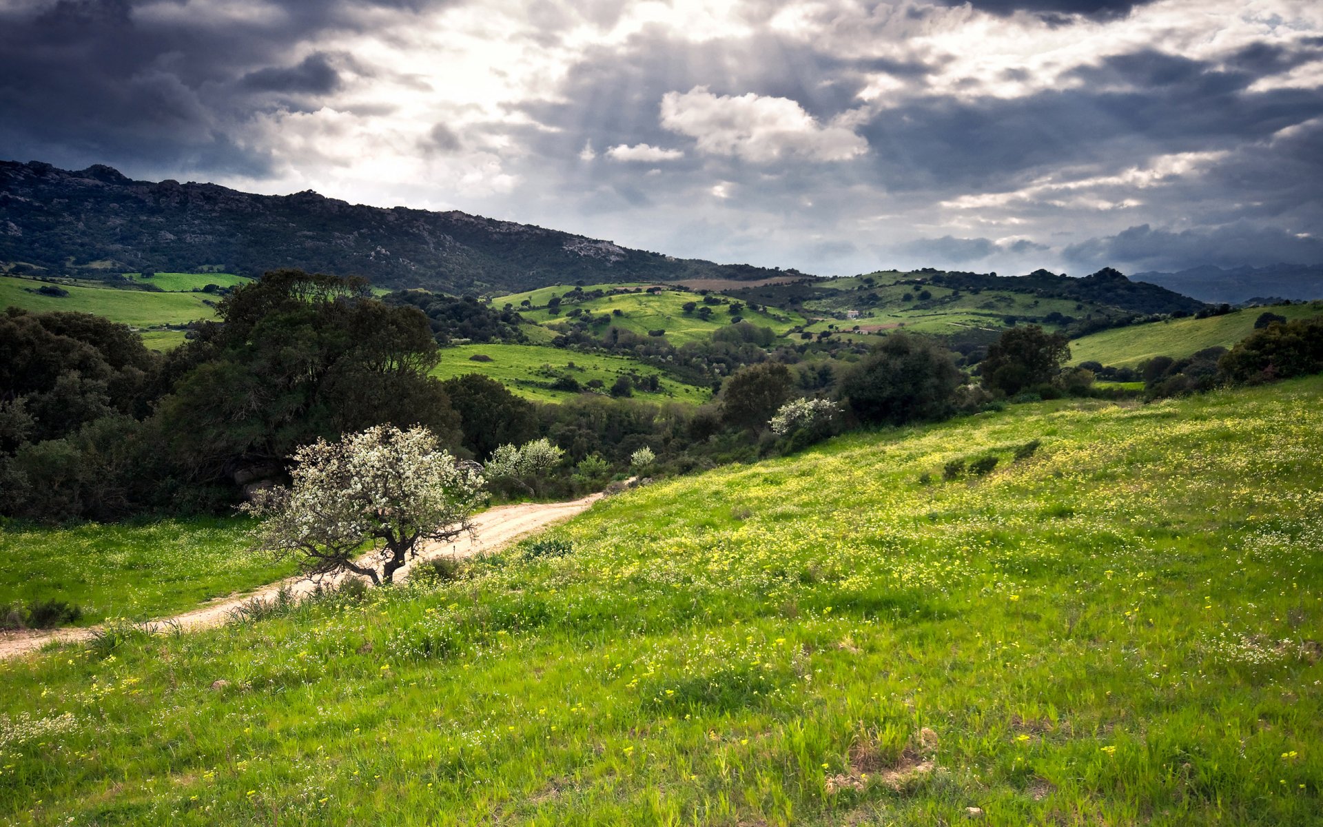 collines verdure sardaigne italie