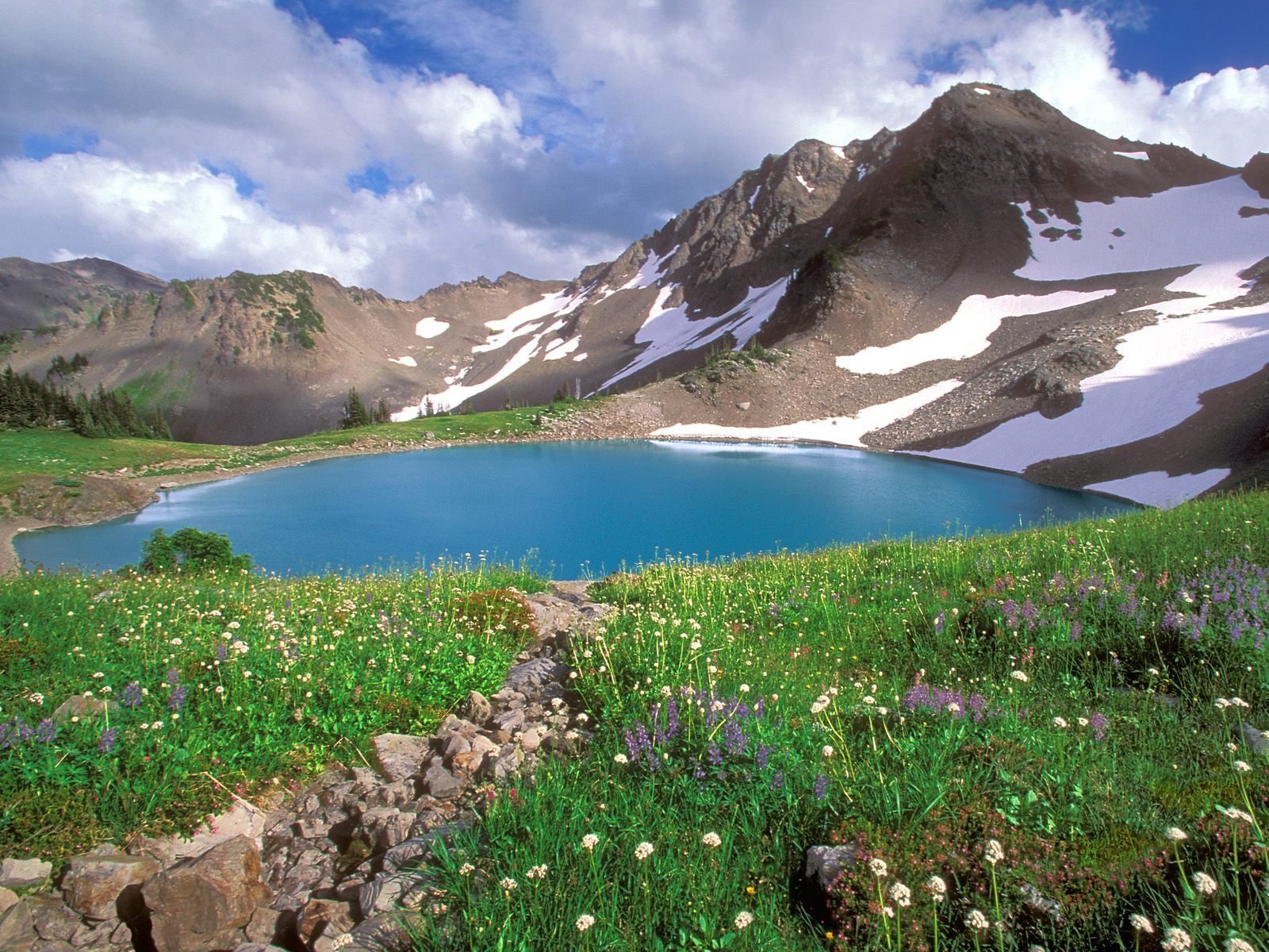 montagnes lac fleurs