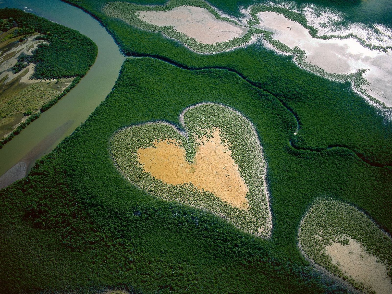 dall alto cuore terra