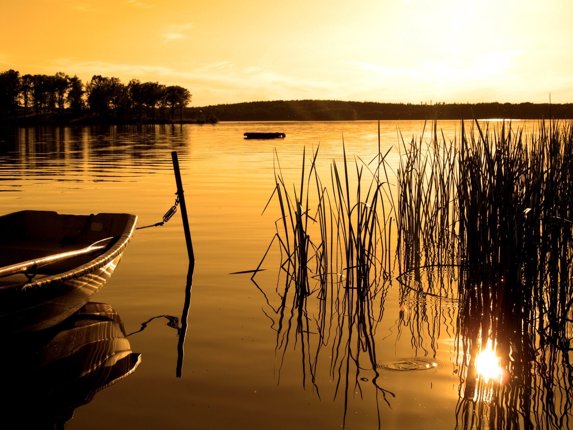 barco lago bosque puesta de sol sepia