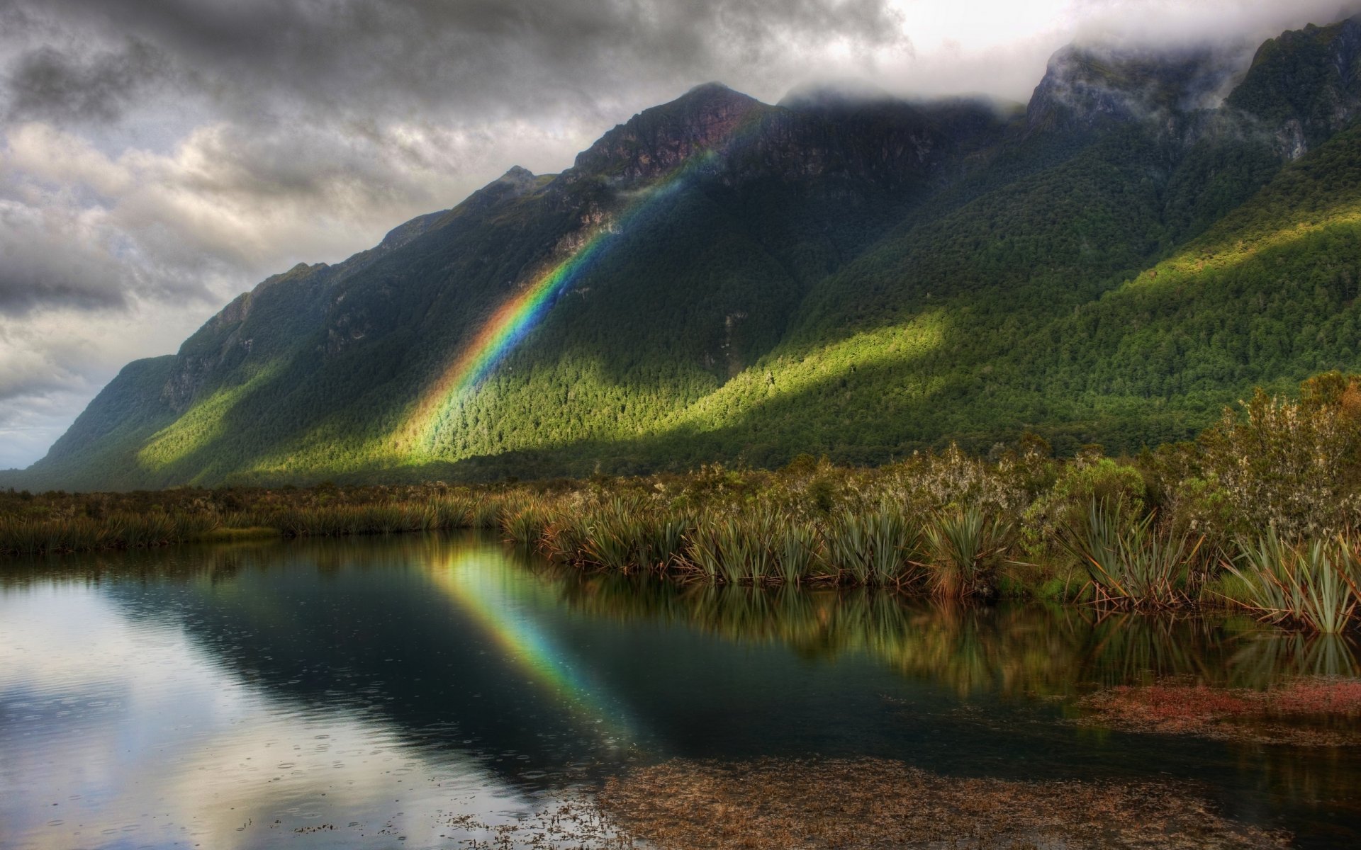 arco iris lluvia cuerpo de agua árboles