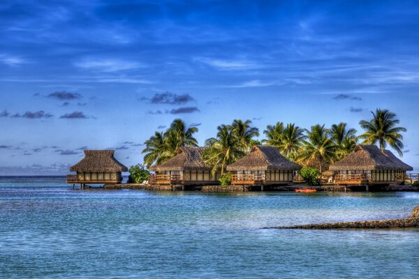 Four bungalows on the water in the middle of the ocean and greenery