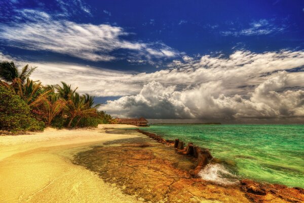 A shaded beach on the ocean