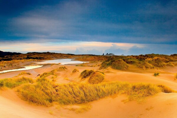 A secluded puddle among the desert sands