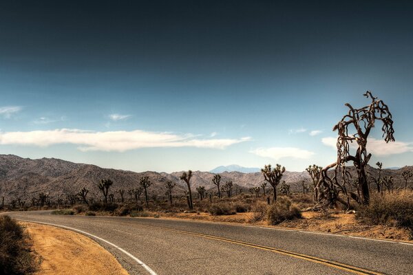 The road to the desert during a drought