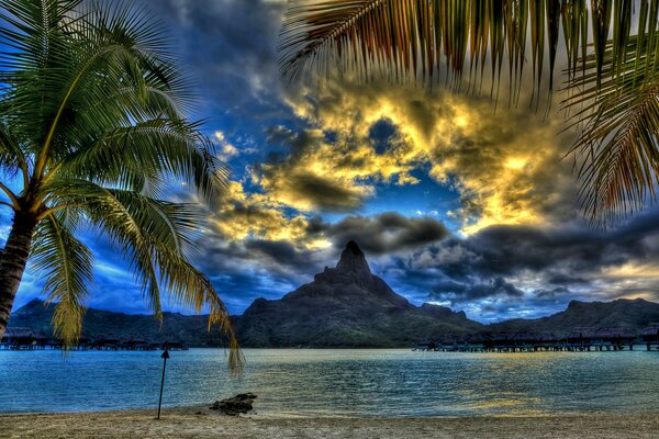 Beach with palm trees and mountain views