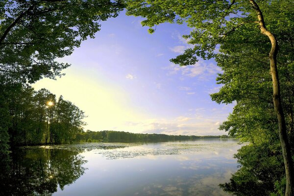 Lago blu al mattino tra gli alberi