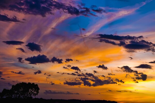 Schöner Himmel bei Sonnenuntergang und ein einsamer Baum