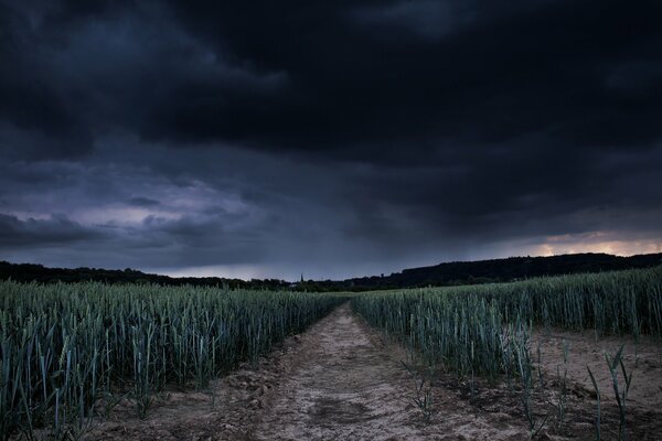 Schwarzer Himmel über dem Feld vor dem Sturm