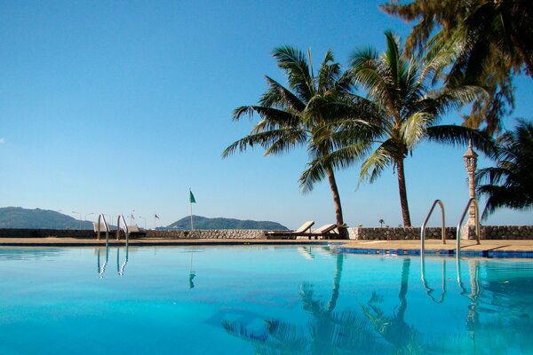 Swimming pool with palm trees, rest at the hotel