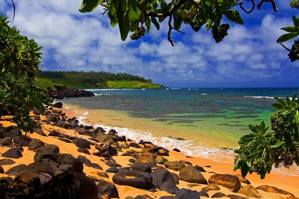 Plage hawaïenne avec sable orange