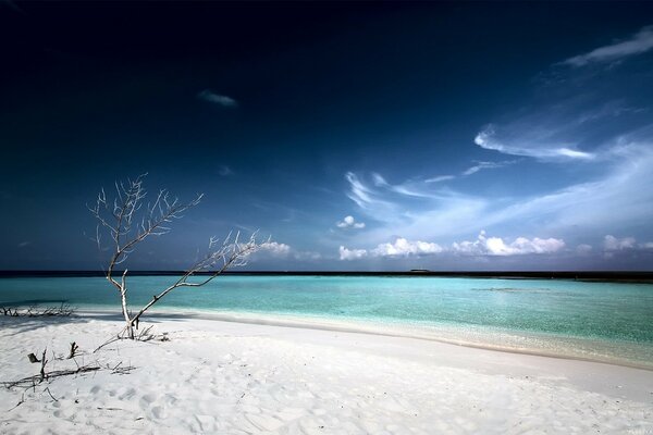 Lagoon, where the beach and white sand