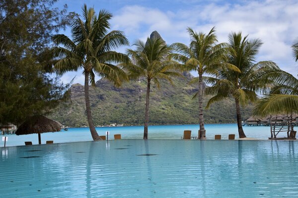 Sur la côte piscine avec palmiers et nuages