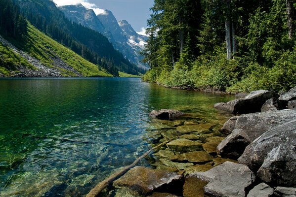 Striking beauty and transparency of the mountain river