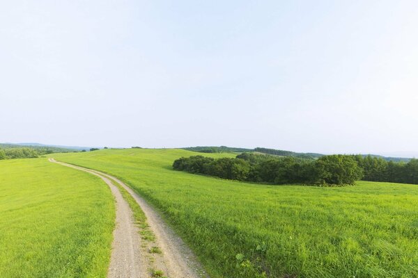 Un camino estrecho que trasciende el horizonte