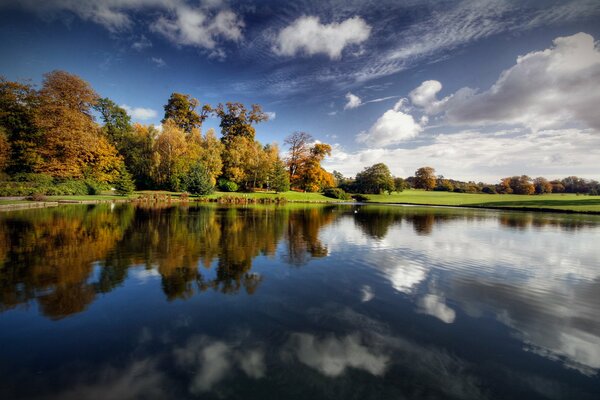 Árboles reflejados en la superficie clara del lago