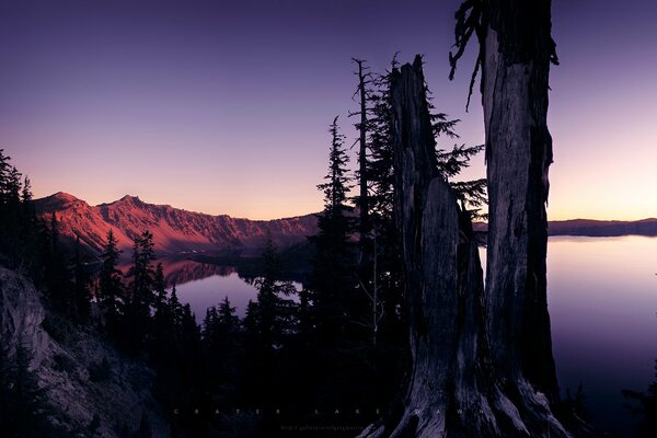 A lake in the reflection of a pink sunset