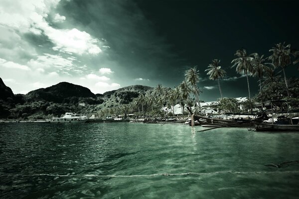 Beach with palm trees by the sea