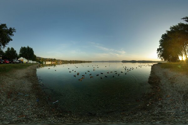 Ein dunkler See mit schwimmenden Enten
