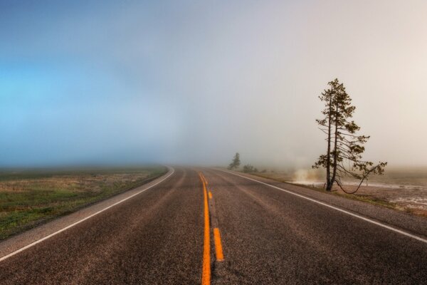 The empty road is shrouded in fogs