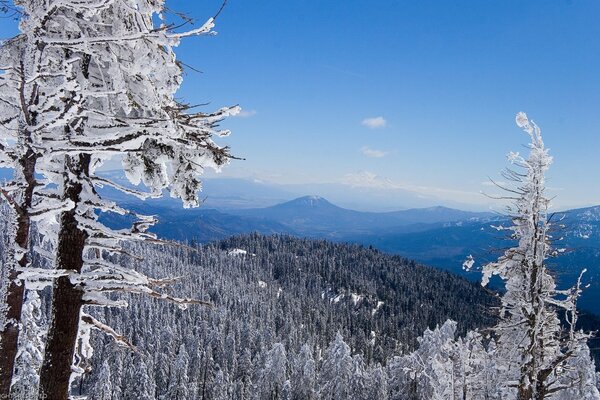 Inverno in montagna in una giornata di sole