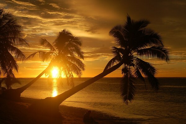 Foto con palmeras en la playa y una hermosa puesta de sol