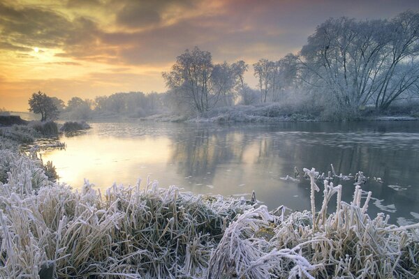 Crisp frost on a winter lake