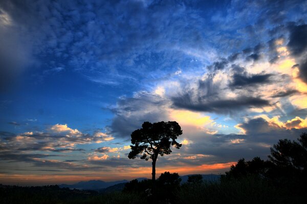 Pink-blue clouds illuminated by the sun at sunset