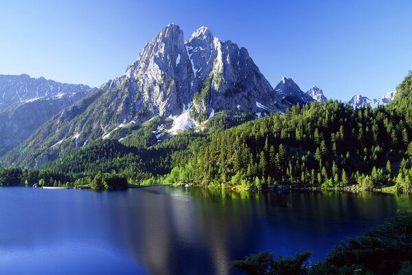 Reach for the heavens. Forest and mountains