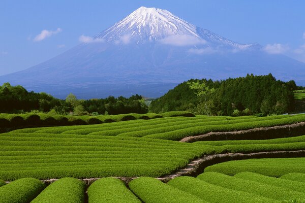 Monte Fuji en las nubes. Hermoso paisaje