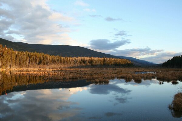 The flood of the lake on the background of the hills