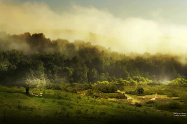 Nature in the misty haze of clouds