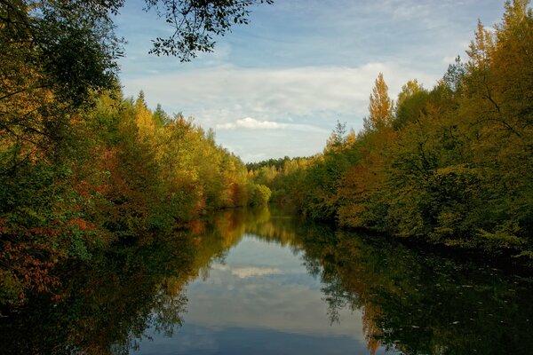 A beautiful autumn forest is divided by a river