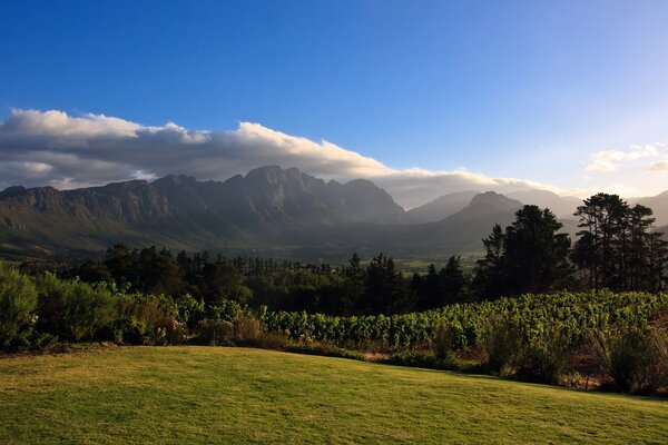 Belle photo de paysage dans les montagnes