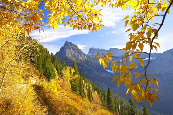 Montanas Herbstberge mit gelben Waldblättern