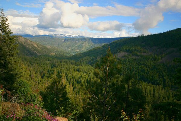 The greatness of natural distances and mountains