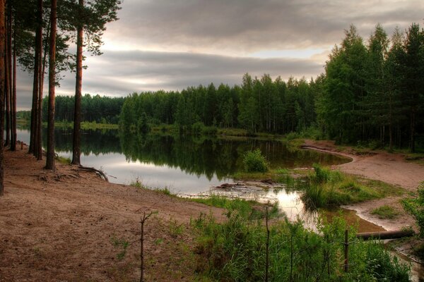 Krajobraz lasu obok zbiornika wodnego, szare niebo