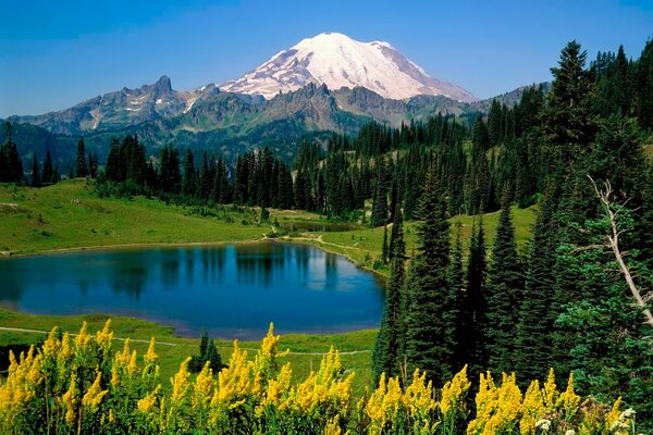 Alpine landscape: meadows, mountain lake and mountains