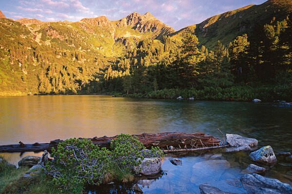 A calm pond among the rocky mountains