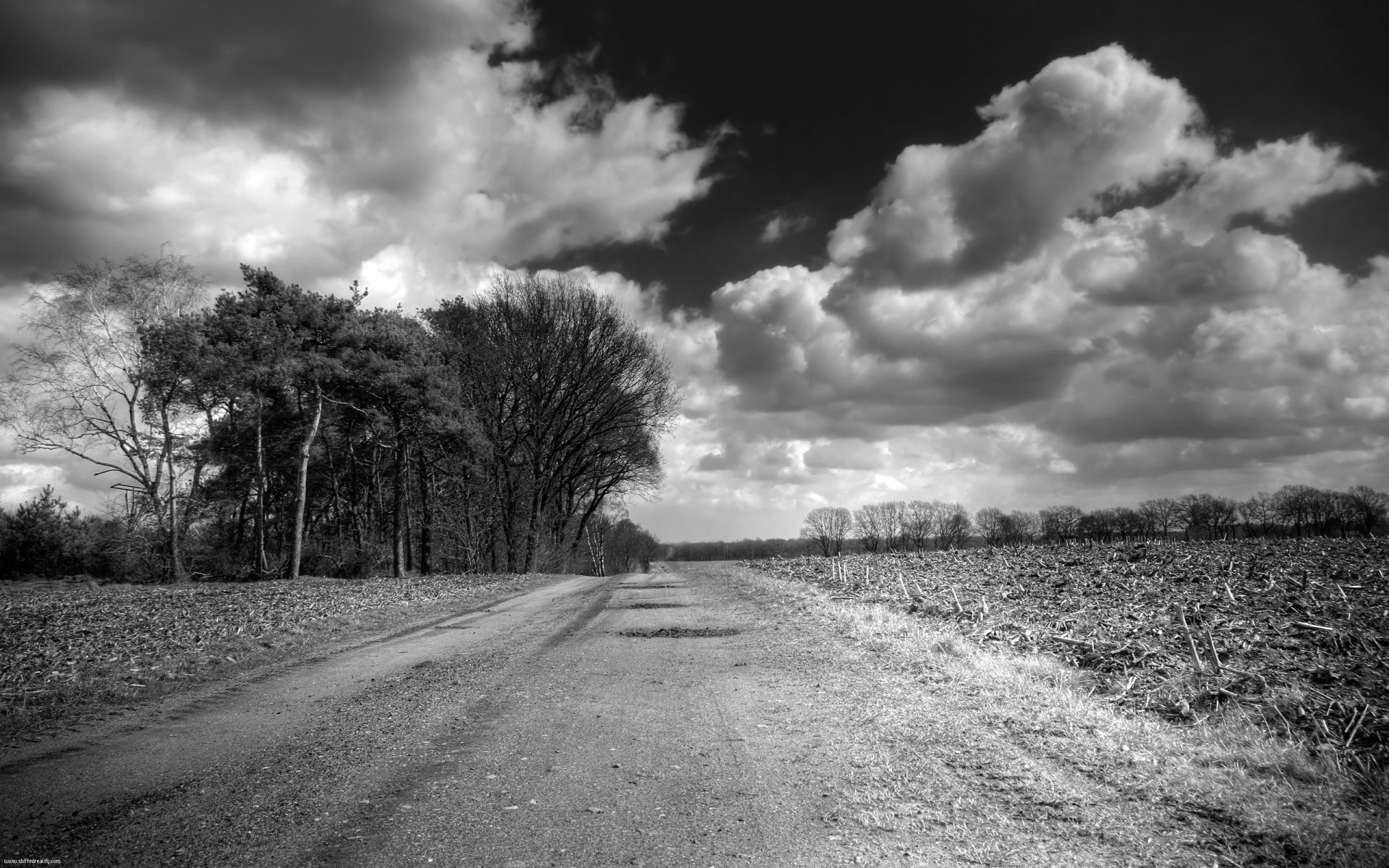 strada nuvole campo in bianco e nero