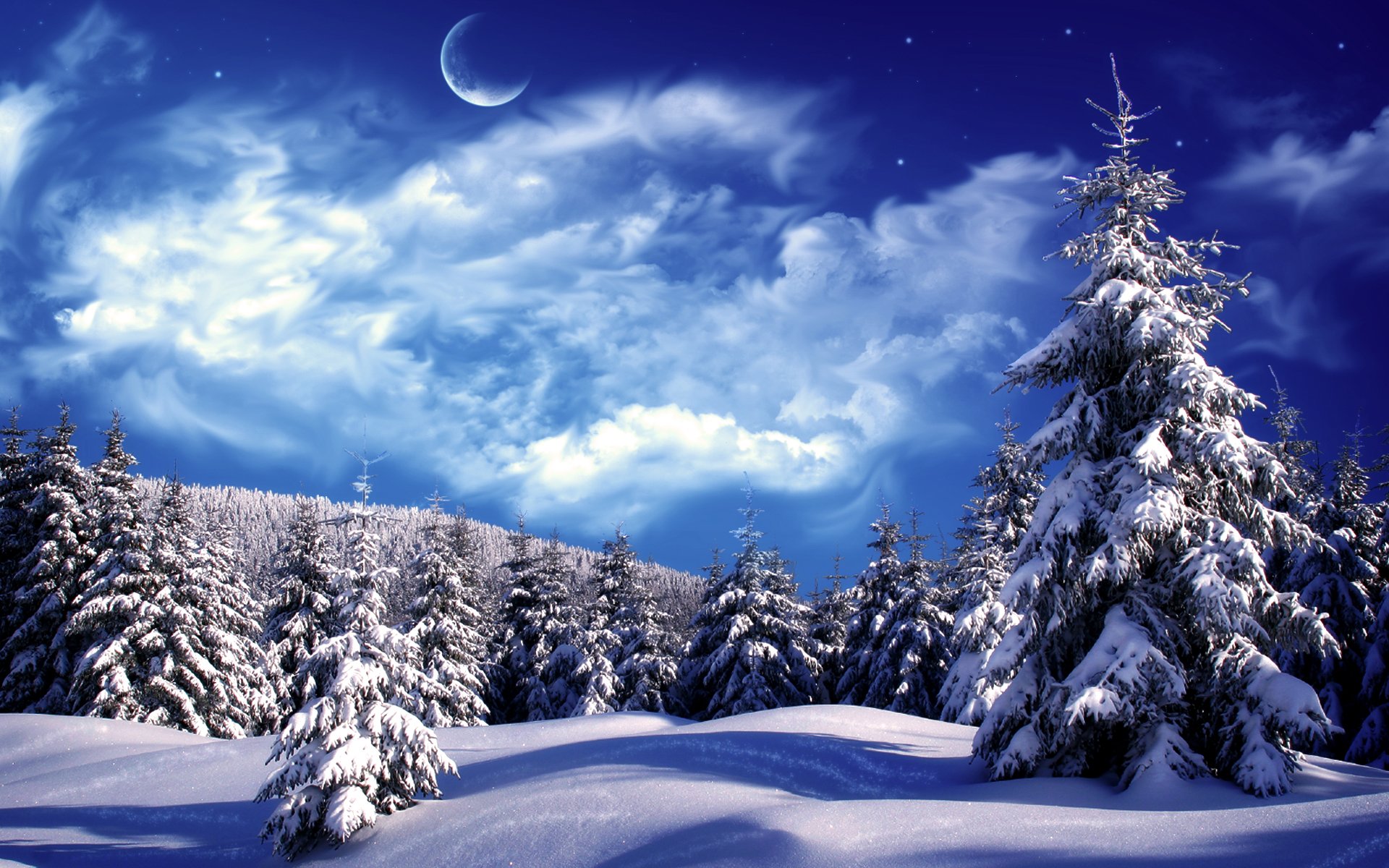 inverno neve alberi di natale nuvole