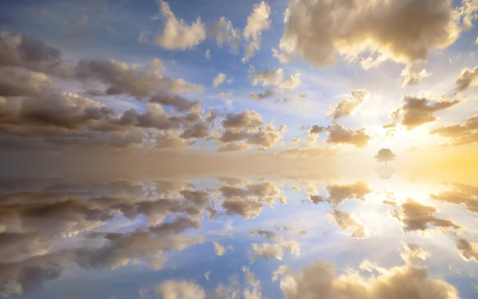 wolken himmel sonnenuntergang sonne baum horizont