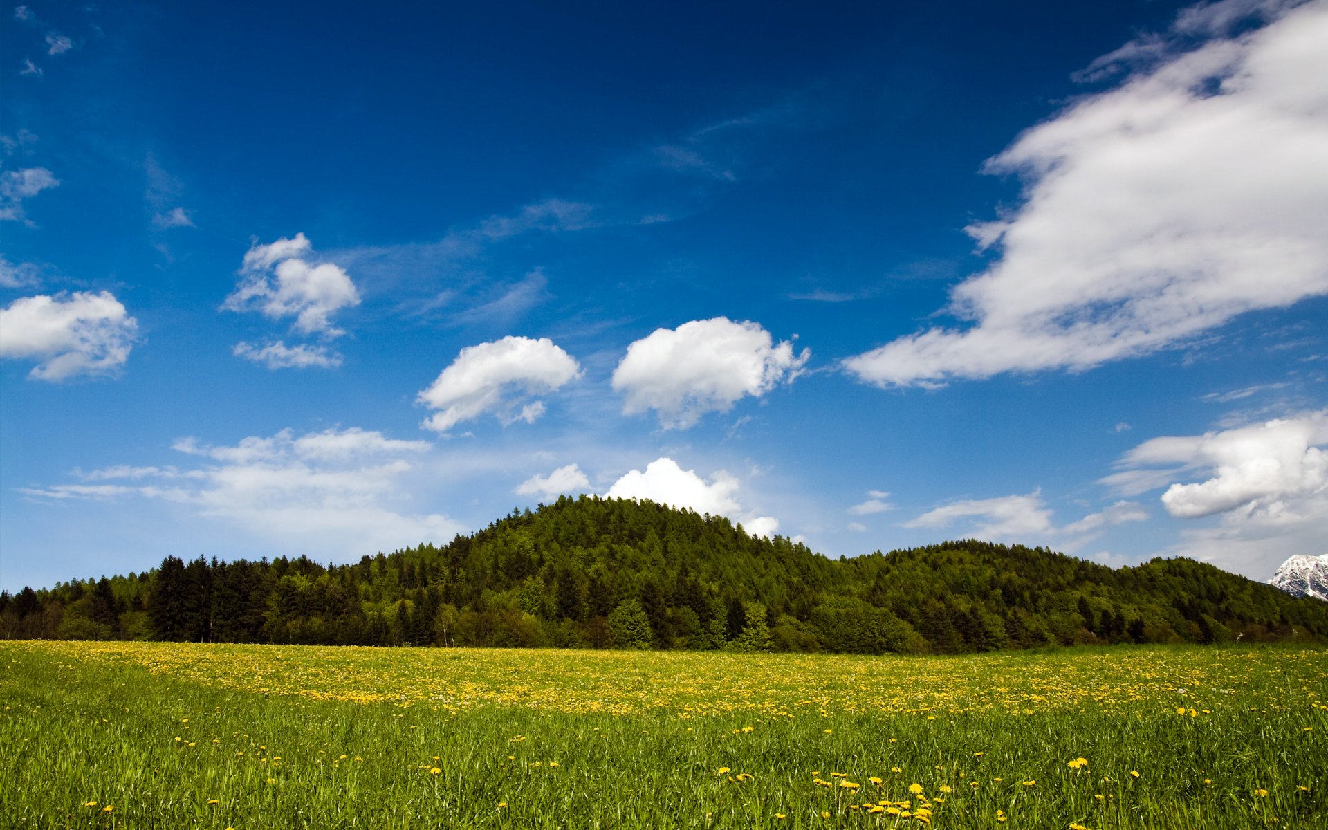 wiosna natura austria karyntia austria trawa zieleń krajobraz wzgórza zieleń