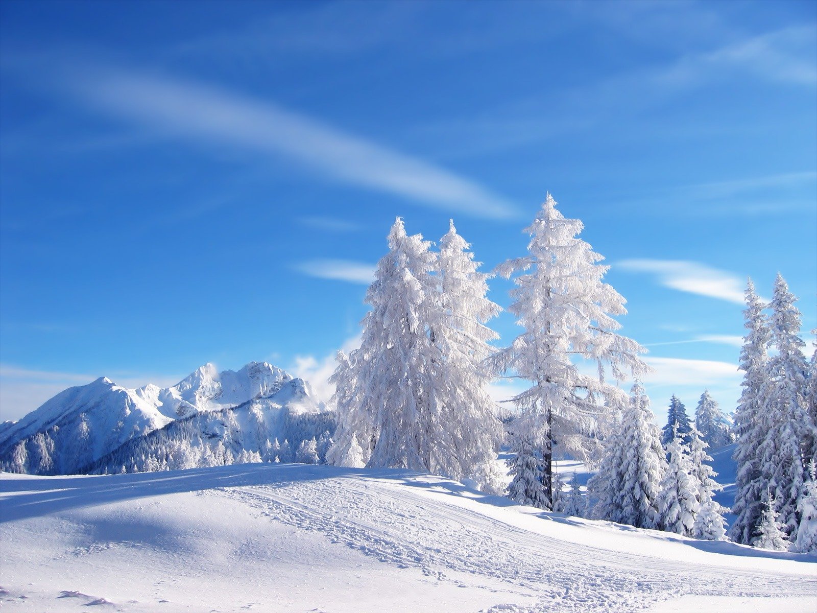 neve inverno alberi di natale montagne cielo