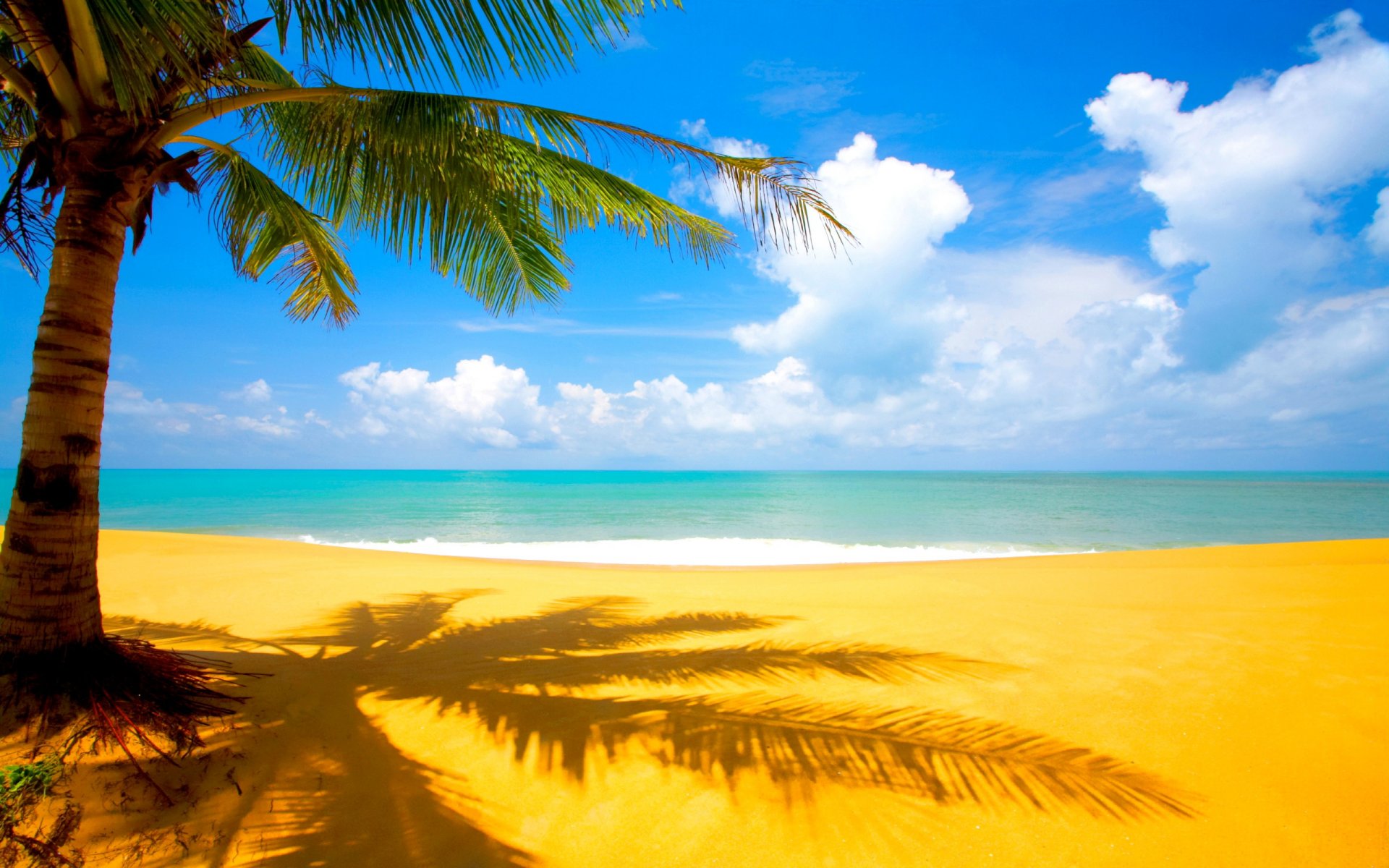 palme meer strand sand wolken tropen