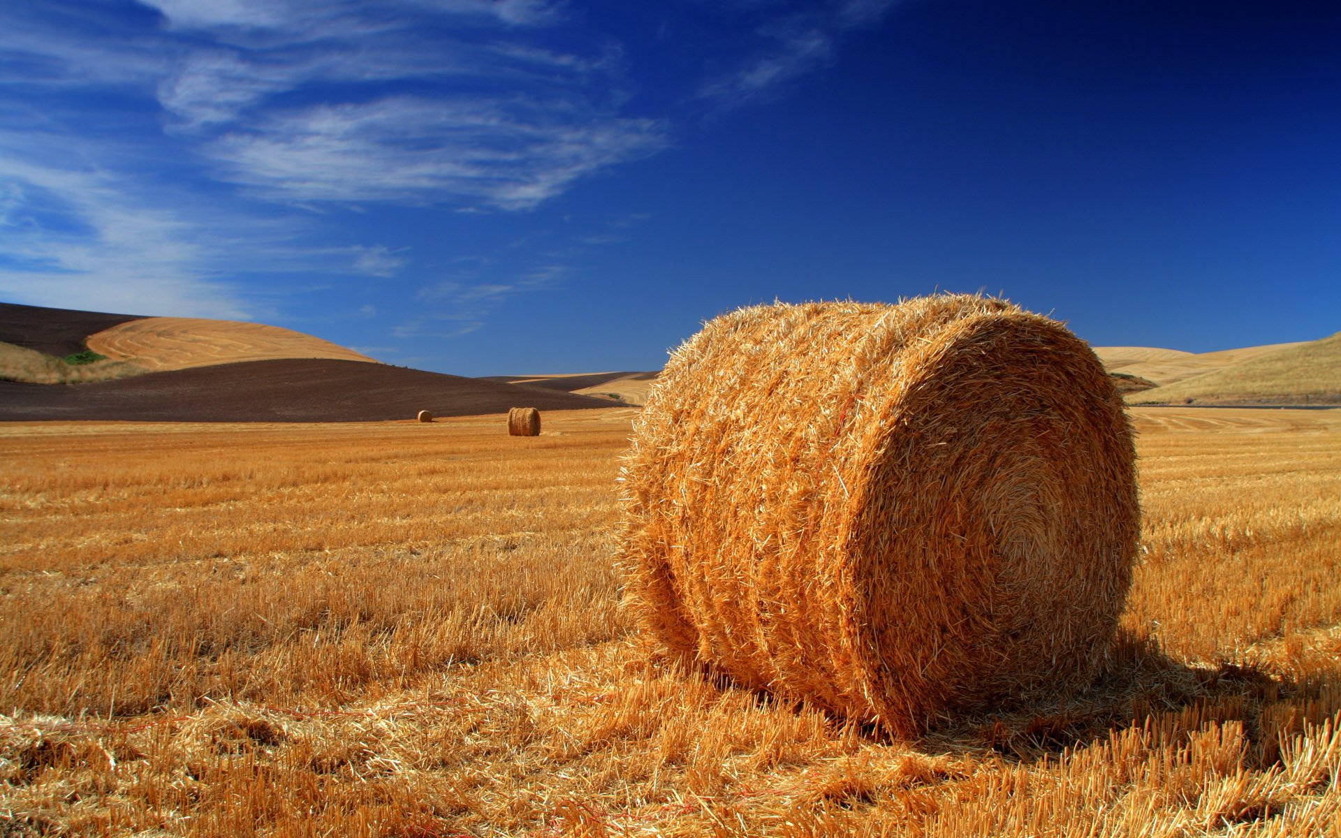 campo pila fieno